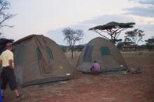 Zelten in der Serengeti
